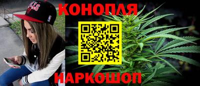 индика Пенза