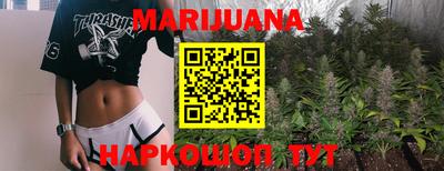 индика Пенза