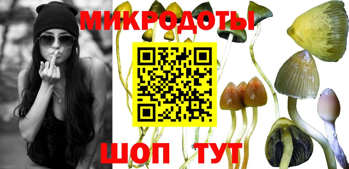 Псилоцибиновые грибы прущие грибы Сергиев Посад